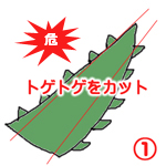 アロエ化粧水